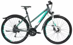 Bulls Cross Street Disc 2019