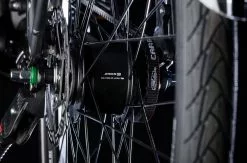 Bulls Lacuba-Evo Lite 5-Gang 2019 -Fahrräder Verkäufe Inter5