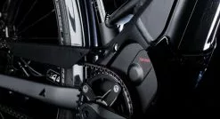 Bulls Lacuba-Evo Lite 5-Gang 2019 -Fahrräder Verkäufe Motor