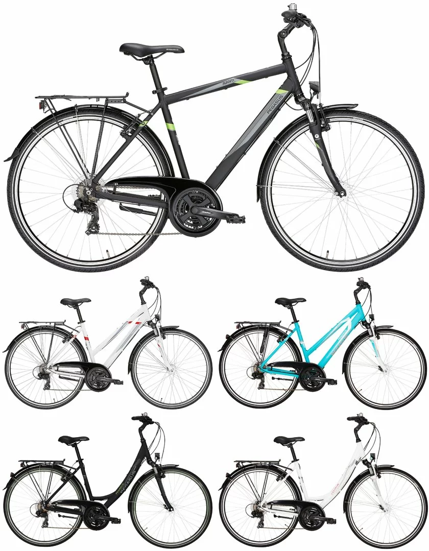 Pegasus Avanti 2018 21-Gang 3 Pegasus Avanti 2018 21-Gang