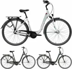 Pegasus Piazza 2020/2021 7-Gang