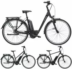 Pegasus Premio-E8F-Belt Comfort 8-Gang 2019