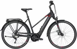 Pegasus Premio-Evo-10 2020 -Fahrräder Verkäufe Pegasus Premio Evo 10 Damen Trapez black matt grey red 714 715 716 49745 49750 49755