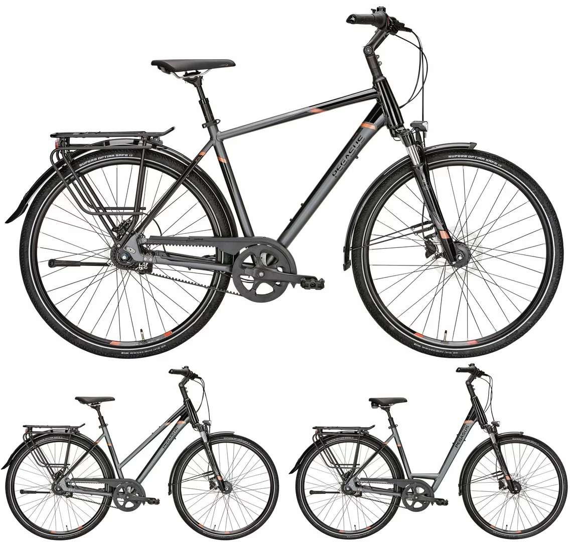 Pegasus Premio SL-Belt 2019 8-Gang 3 Pegasus Premio SL-Belt 2019 8-Gang