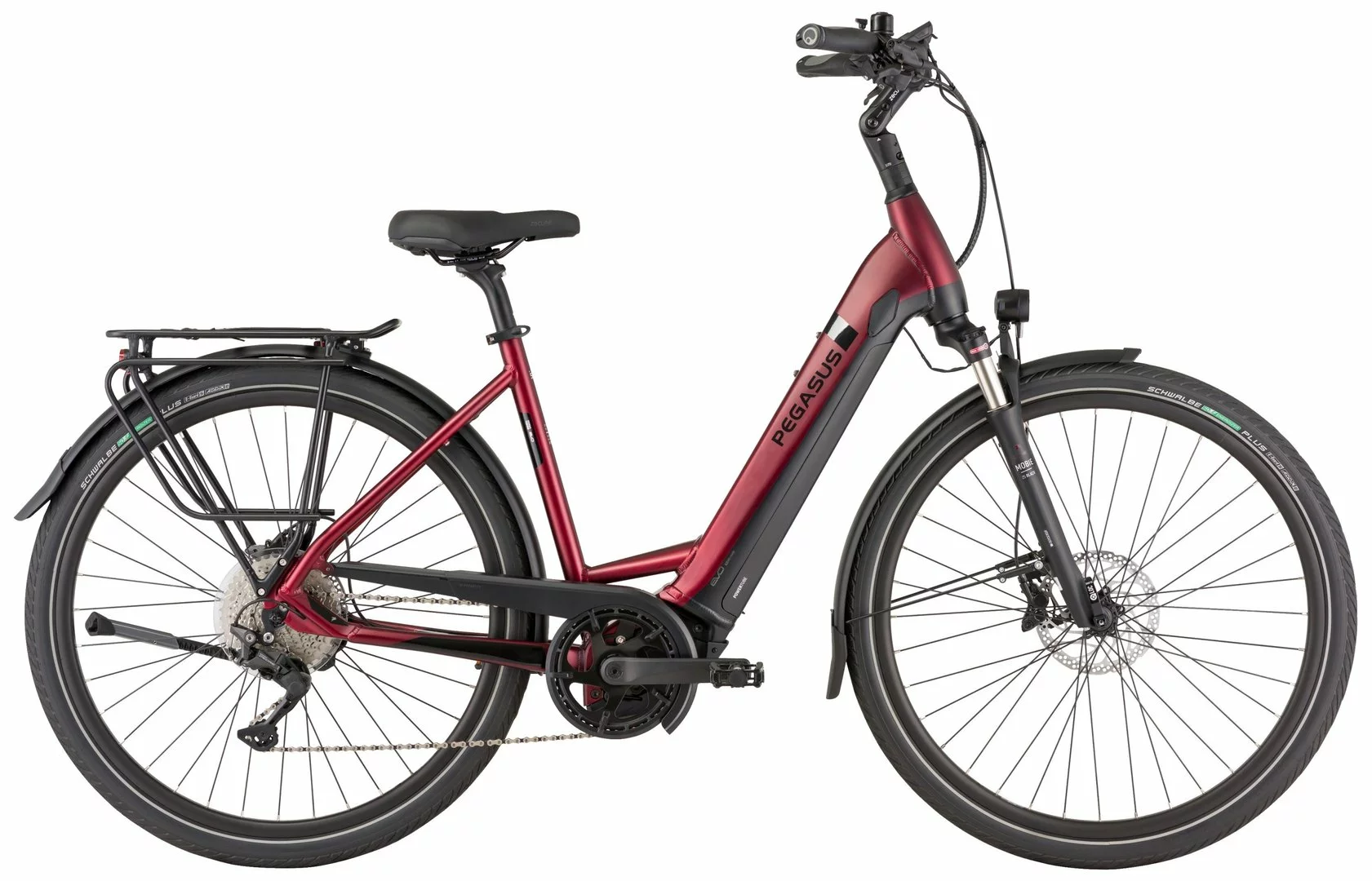 Pegasus Strong Evo-10-Lite 2021 6 Pegasus Strong Evo-10-Lite 2021 – Bild 4