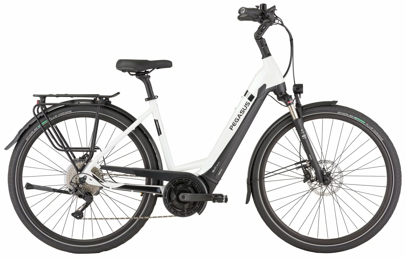 Pegasus Strong-Evo-10 2022 6 Pegasus Strong-Evo-10 2022 – Bild 4